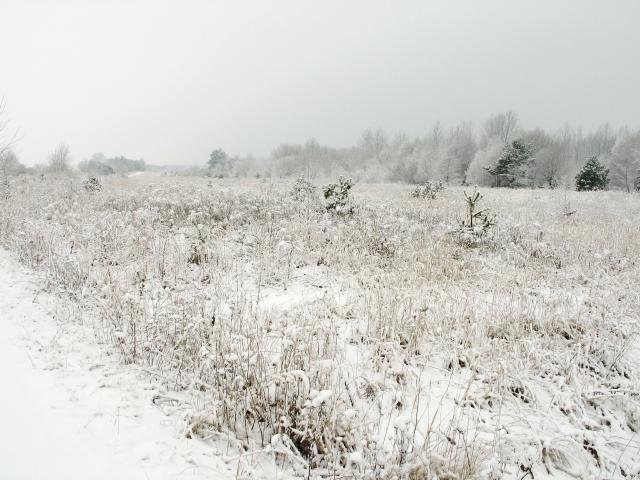 Winter in Burg 2005/06